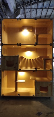 ��ľ؈�����؈���e��؈��