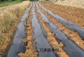 ��(y��u)�|(zh��)���{Ĥ ������r(n��ng)Ĥ�|(zh��)�� �r(n��ng)Ĥ�S�����l(f��)��