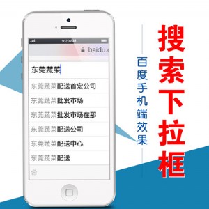 2016��ٶ�������ҊЧ�����M