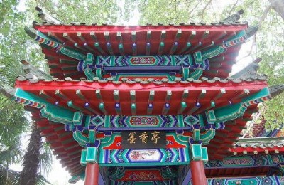 �Ž����OӋ�Ž������L���Lʩ��ɽ�|�H�������R��