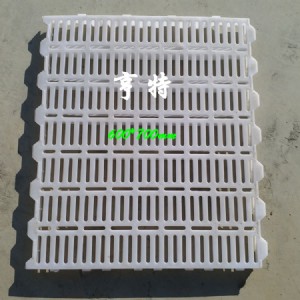 �i��©�S���B�i�O��S��ֱ�N