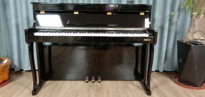 �ѵ�������c-805/88�I���N�I�P���ܔ��a����