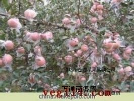 �����H���t��ʿ�O���r��