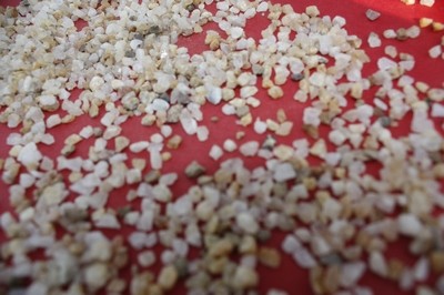 ���ʯӢɰ�^�V��