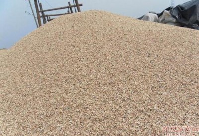 ������ɳ����ɳ�� ��ͯ�ʘ�ɳ��