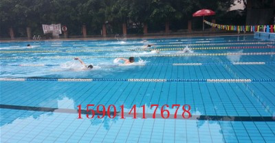 �ӑc�������c����������