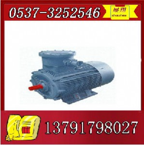 ybk2-355m2-4����늙C