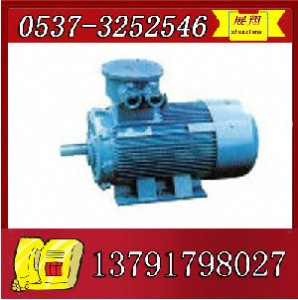 ybk2-132m2-6����늙C