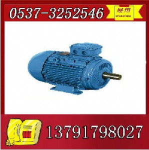 ybk2-225m-6����늙C