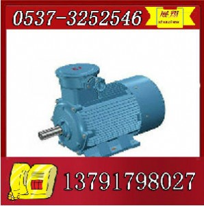 ybk2-250m-6����늙C