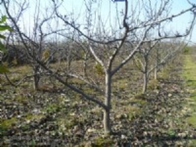 �O����ɽ高���Ҙ�