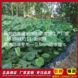 ź�ط��BĤ ����ź�ط��BĤ�S�� ԭ���Ϸ��BĤ �ɶ���