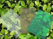 �@ʯ�w��������