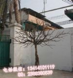 ʥ������ݘ�(sh��) �L(f��ng)����(sh��)����ݘ�(sh��)