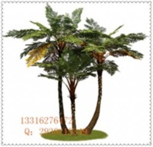 ����ɳ�_��