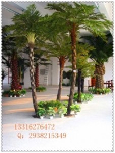 �V�ݷ���ɳ�_��������l(f��) ��ɳ�_�����l(f��)�J(r��n)��(zh��n)�V��ʥ�����^