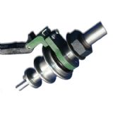 ���C��� �V�� 2404���w�����V��