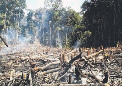 ɭ��Ѳ�zϵ�y