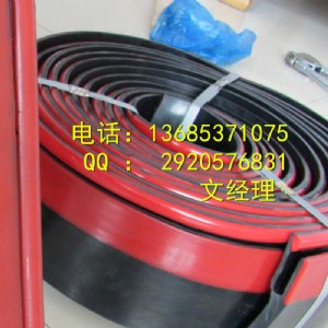 ����ȹ��