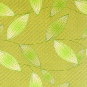 �ӱ����wˇ�g(sh��)�����b����