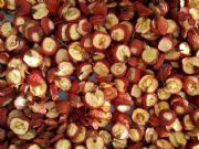 �H����r������ɽ髸����l����|���ɽ髸��ļҺ�