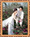 ����(y��ng)3D���w�鼆��Ƭ����(�D)