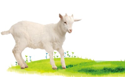 �в��ظ����̷۷����a�����