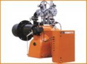 �ٵ�ȼ��ȼ����(�D)