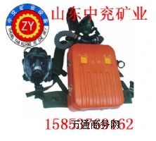 ��HYZ2��������������r��-ɽ�|�Ѓ��V�I(y��)