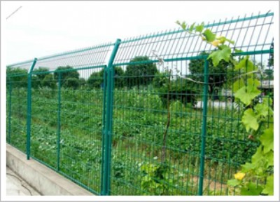 䓰��o�� �o�ھW�S