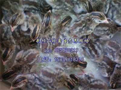 �F�ݴ󷽿h�����u�����l(f��) �����u��ȫ��(ch��ng)�ػ��N����!