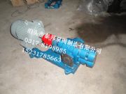 zyb-3�❙����,���b������