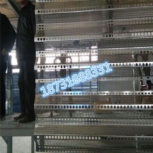 ���L�։m�W�S�� ú�V���L�W �{ɫ���L�P�m�W