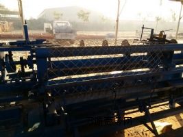 �����V���^�W�C  �F�z�W�C