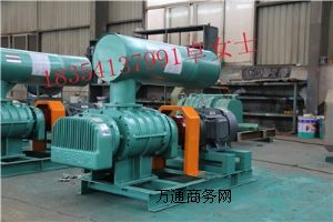 山東章丘臭氧發(fā)生器用羅茨風(fēng)機(jī)