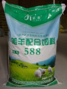 ���������w�����