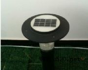 ̫��ܲ�ƺ��