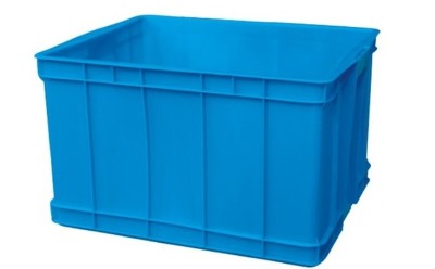 �B�d���Sɫ���������̏S���\������