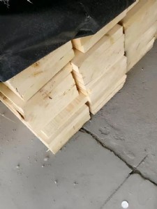 �R�ʼ���conifex