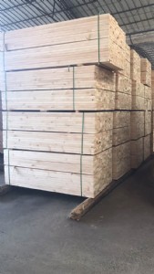 �K�ݼ��ô�ľ