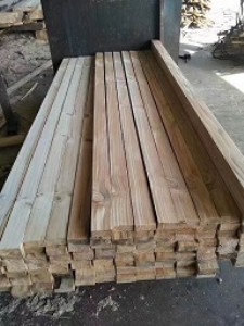 ʏ����������