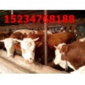 ɽ���B(y��ng)ֳ��(zhu��n)�I(y��)������3