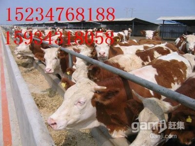 ɽ���B(y��ng)ֳ��(zhu��n)�I(y��)������10