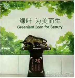 �G�~��������˿���ٍ�X��