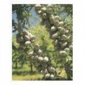 ��������ң��_�Ĺ����N��