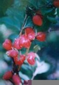 �������N�� �W(xu��)���o��辰ѹ�