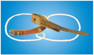 늹���ȫ��14��