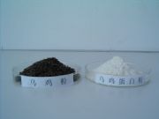 �������u�ۼ��ȸߡ����׺�����