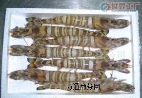 ����~�M�ں��\���\���P�M��