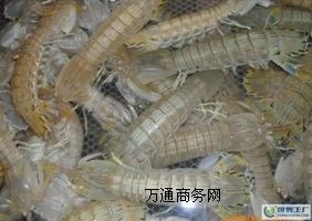 �����M�ں��\*�����M�ں��\�۵��T*�����M�ں��\�T���T